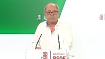 PSOE-A nombra a Fiscal portavoz parlamentario en lugar de Jiménez