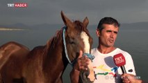 Arap atları yarışlara Van Gölü sahillerinde hazırlanıyor