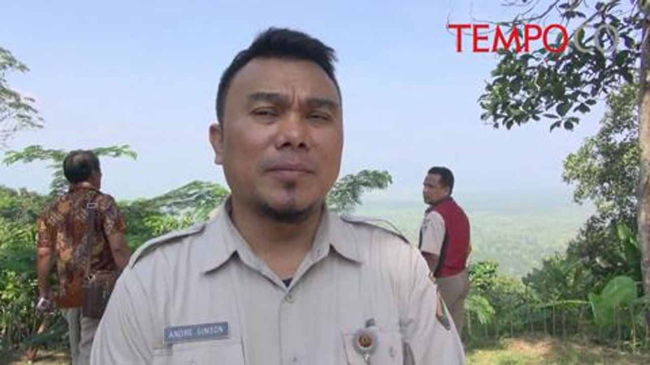 Gagal-Diselundupkan-Ratusan-Burung-Ini-Dilepasliarkan.flv