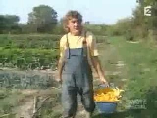 Envoyé spécial : la filière bio