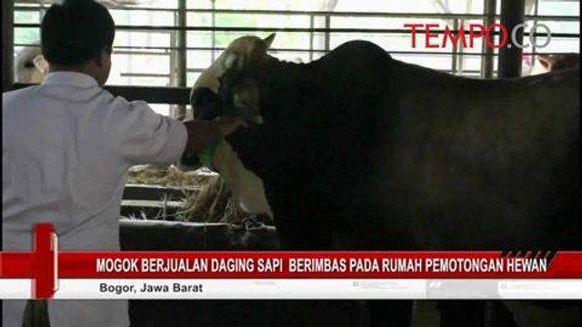 Mogok Berjualan Daging Sapi Berimbas pada Rumah Pemotongan Hewan