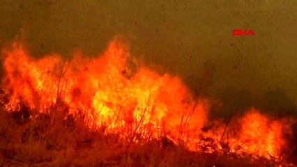 GAZİANTEP İslahiye'de anız yangını