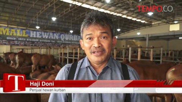 Idul Adha 2015, Hewan Kurban Alami Kenaikan Harga