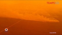 Ini Beda Kebakaran Hutan di Sumatera dan Jawa