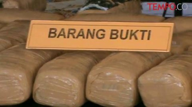 Polda DIY Amankan 50 Kg Ganja Kering Asal Aceh