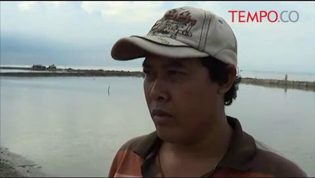 Dampak Reklamasi Pantai Utara Jakarta, Garis Pantai Ini Alami Abrasi