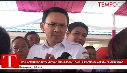 Ahok: APTB Dilarang Masuk Jalur Busway kalau...
