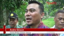 Masuk Pemukiman Warga, Petugas Lepasliarkan Kukang Jawa
