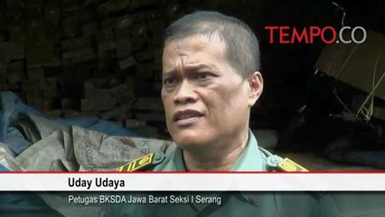 BKSDA Gagalkan Penyelundupan Kayu Asal Mentawai