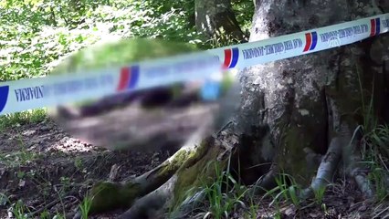 Bir kişi ormanlık alanda ölü bulundu - KÜTAHYA