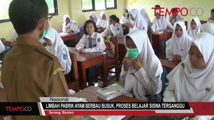 Limbah Pabrik Ayam Berbau Busuk, Proses Belajar Siswa Terganggu