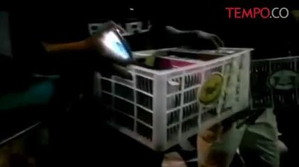 SEKILAS BERITA: Begini Suasana Menjelang Demo 4 November