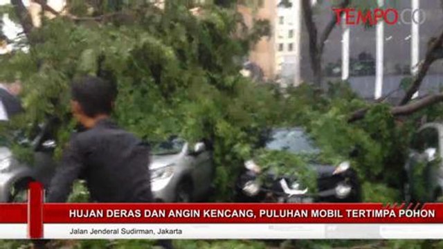 Hujan Deras Dan Angin Kencang, Puluhan Mobil Tertimpa Pohon