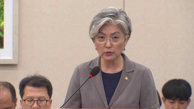 강경화 방콕서 美 폼페이오·日 고노 다로와 회동 가능성 커 / YTN
