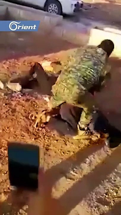 عنصر من ميليشيا "الوحدات الكردية" يهين مدنيين قرب منبج