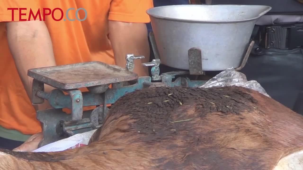 Gasak Sapi di 50 Tempat, 3 Orang Ditangkap, Satu Ditembak Polisi