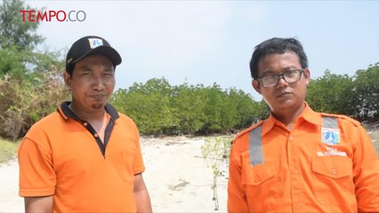 PPSU Cinta Lingkungan, Tanam Bakau di Pulau Tidung