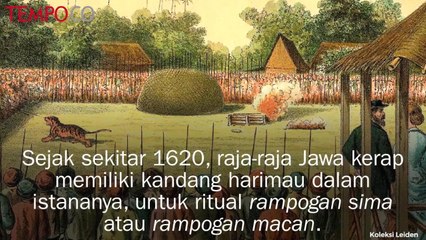 Harimau, Dihormati Lalu Diburu