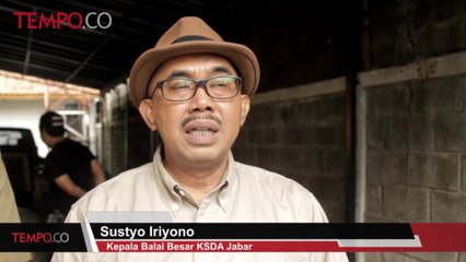 Muncul di Tayangan Televisi, BBKSDA Jabar Amankan 9 Ekor Hewan Dilindungi