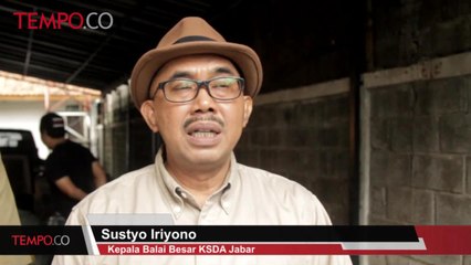 Download Video: Muncul di Tayangan Televisi, BBKSDA Jabar Amankan 9 Ekor Hewan Dilindungi