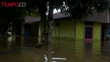 Dua Pekan Alami Banjir, Kutai Barat Darurat Penanganan Bencana Banjir