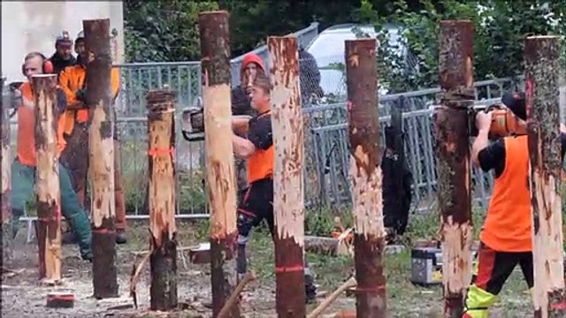 Fête du bois à Sainte-Marie-aux-Mines