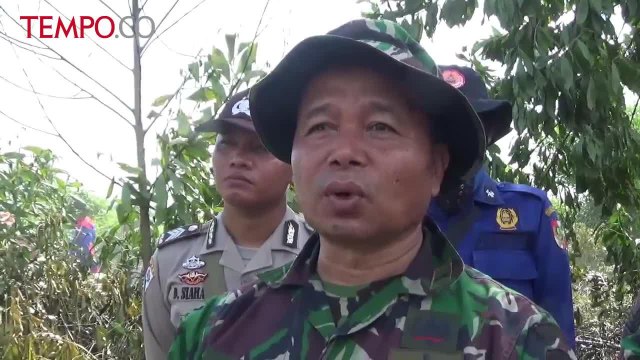 Musim Panas, Riau Mulai Dilanda Kebakaran Lahan