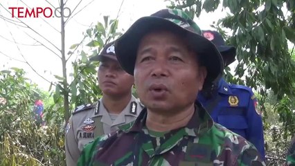 Musim Panas, Riau Mulai Dilanda Kebakaran Lahan