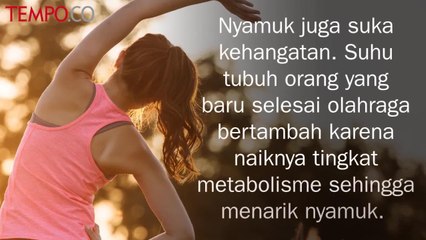 Mengapa Ada Orang yang Lebih Rentan Digigit Nyamuk?