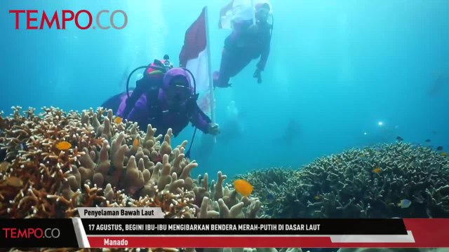 17 Agustus, Begini Ibu-Ibu Mengibarkan Merah-Putih di Dasar Laut