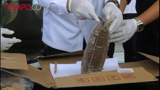 BNN Gagalkan Upaya Penyelundupan Ganja dalam Kemasan Kopi