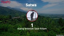 Satwa Liar Dilindungi Milik Pejabat