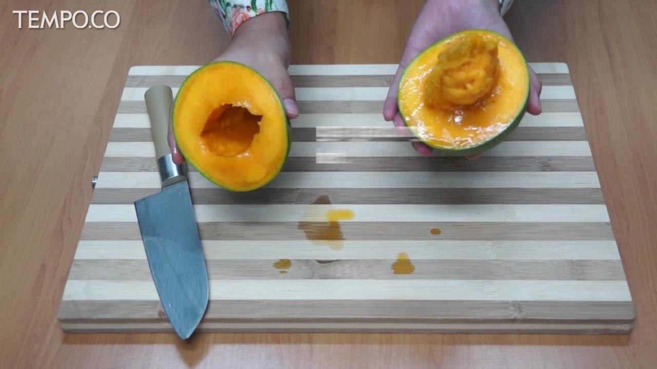 Asal Usul Mangga Alpukat