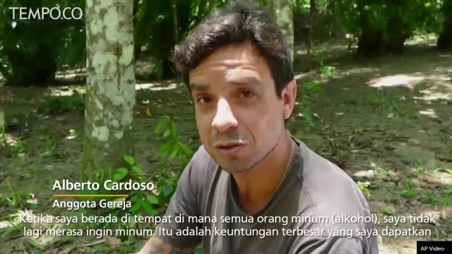 Teh untuk Ritual Keagamaan Ini Diklaim Memiliki Manfaat Pengobatan