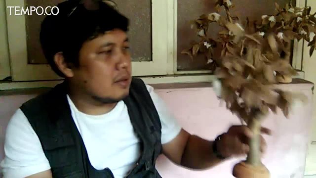 Hiasan Unik Pohon Natal Terbuat dari Karung Goni