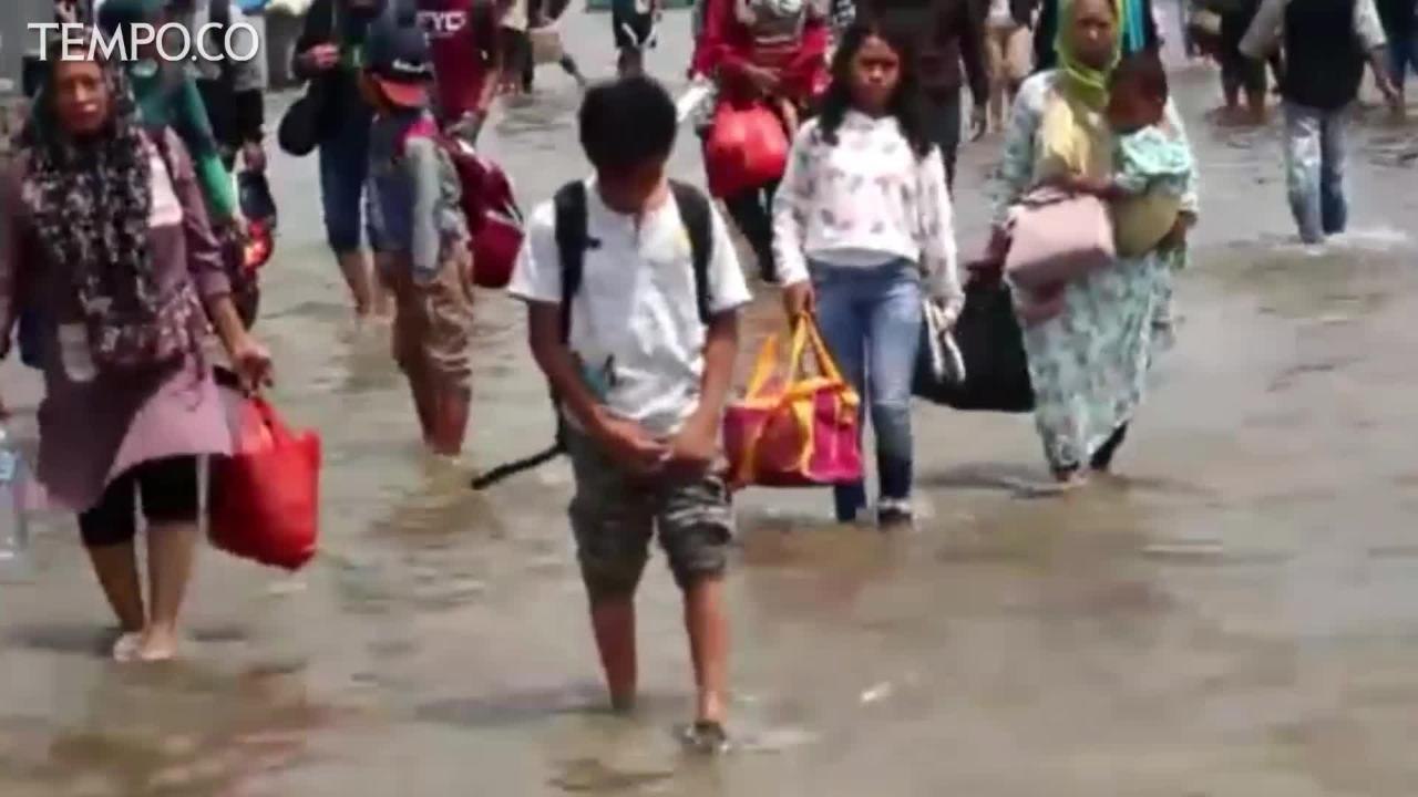 Efek Super Moon, Banjir Rob Kembali Genangi Muara Angke