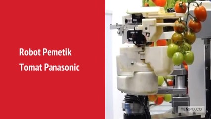 5 Robot yang Akan Menggantikan Peran Manusia
