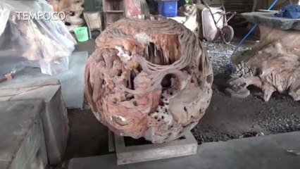 Kreasi Bonggol Jati yang Bernilai Jutaan Rupiah