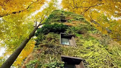 Forget Treehouses OAS1S Wants To Make Houses That Look Like Trees