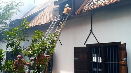 100 Item Koleksi Hangus Akibat Terbakarnya Museum Bahari