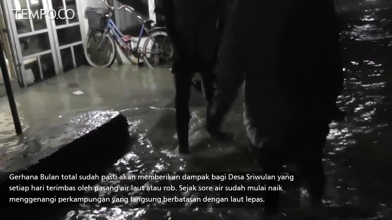 Gerhana Bulan, Kampung Nelayan Ini Digenangi Banjir Rob Sejak Sore