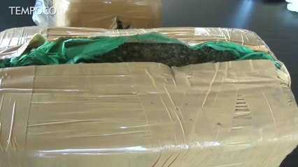 Polres Pekanbaru Gagalkan Peredaran 6 Kilogram Ganja Jaringan Lapas