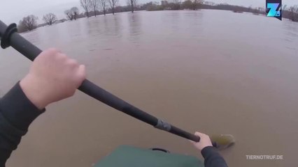 Penyelamat Binatang Liar