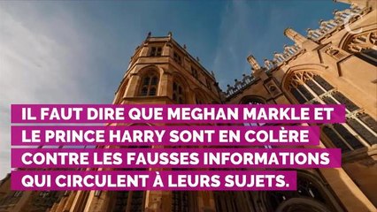 Meghan Markle et le prince Harry : pourquoi ils ont provoqué l...