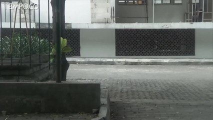 Rektorat Akan Larang Penggunaan Cadar, Mahasiswi UIN Yogja Resah