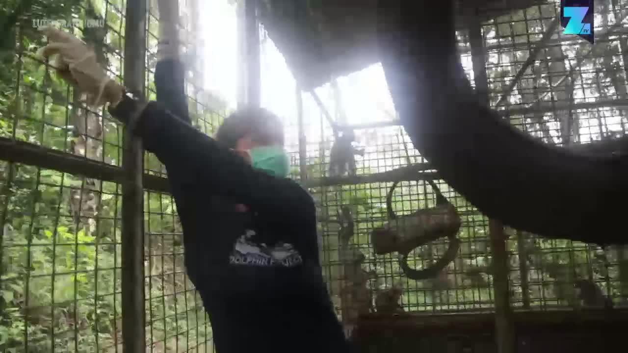 Selamatkan Korban Topeng Monyet