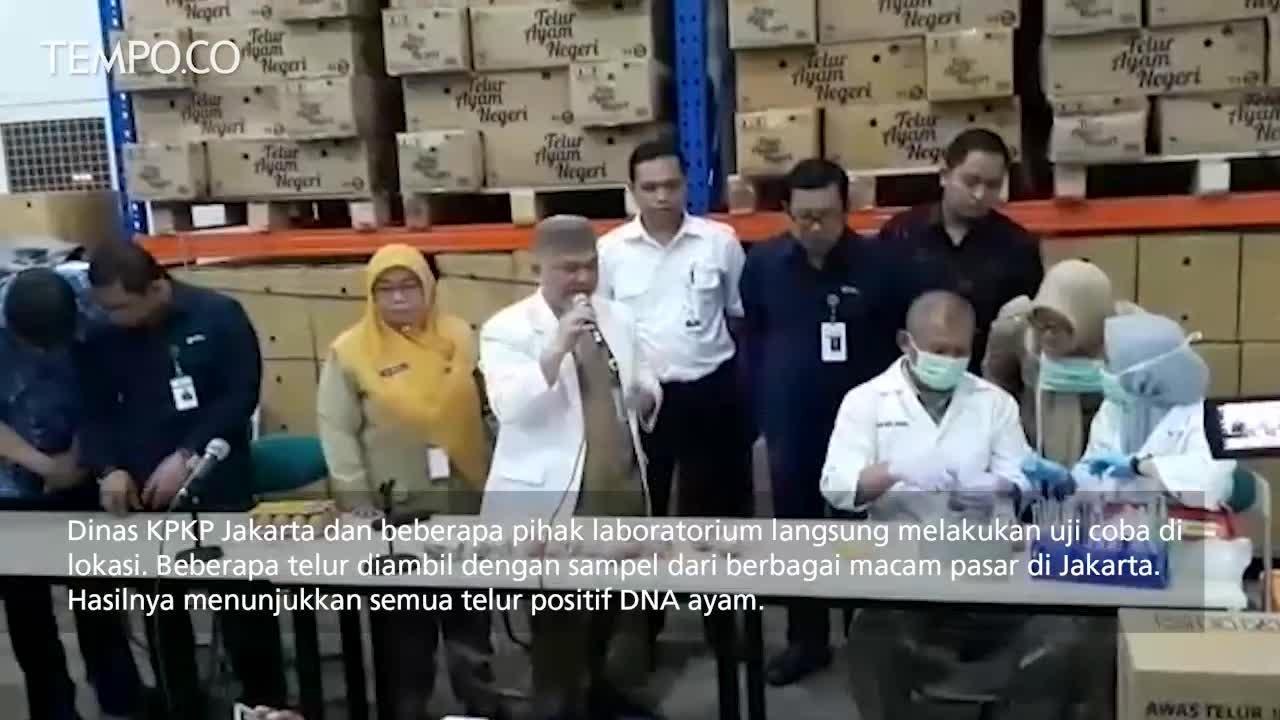 Viral Telur Palsu, Pemprov DKI Pastikan Semua Telur Asli