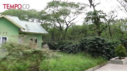 Menyusuri Jalanan Gayo