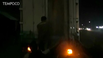 Balai Karantina Gagalkan Penyelundupan 28 Ton Ikan Ilegal