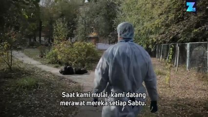 Dokter Jalanan: Dosis Kemanusiaan bagi Tunawisma